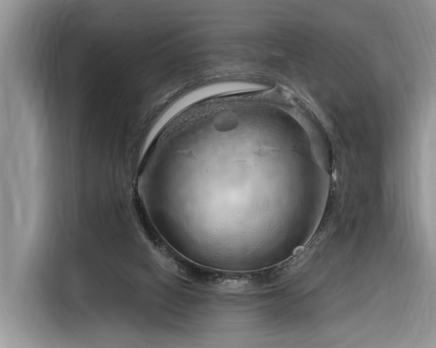 X0000116280066200912071158