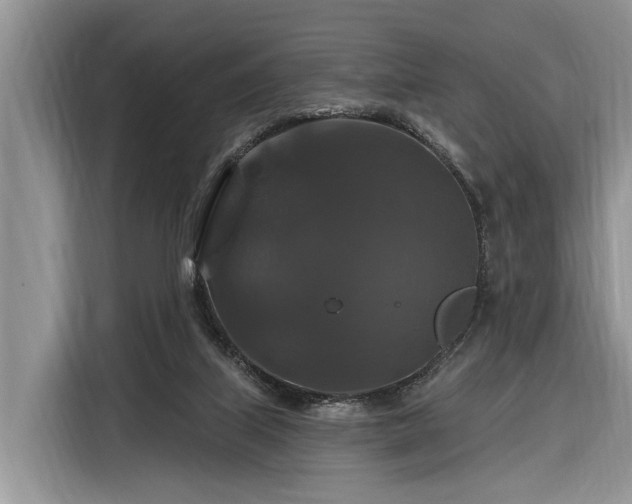 X0000116280067200912071158