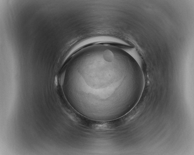 X0000116280068200912071158