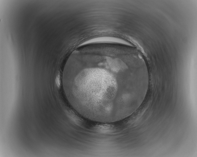 X0000116280069200912071158