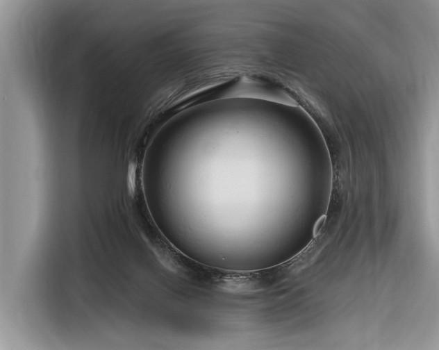 X0000116280070200912071158