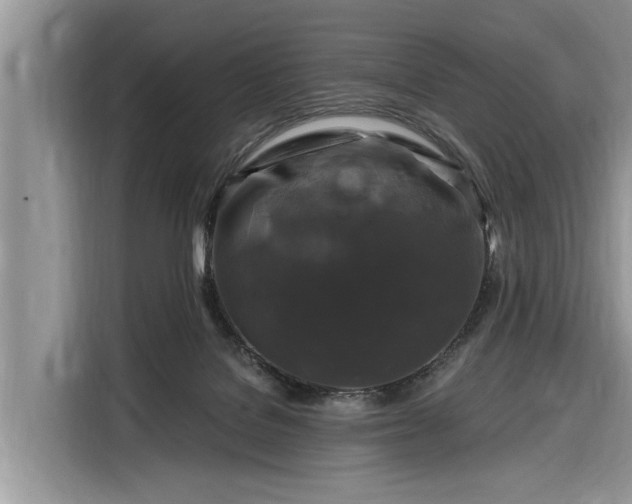 X0000116280076200912071158