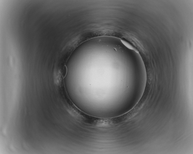 X0000116280077200912071158