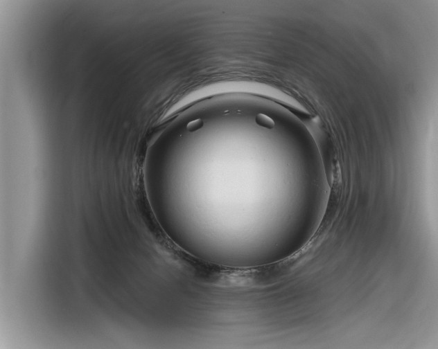 X0000116280078200912071158