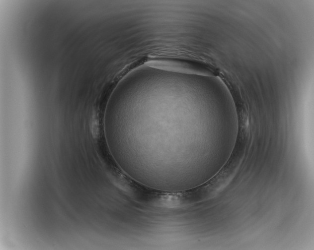 X0000116280080200912071159