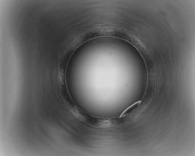 X0000116280083200912071159