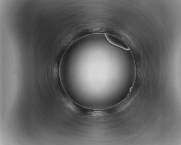 X0000116280085200912071159