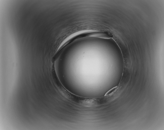 X0000116280086200912071159