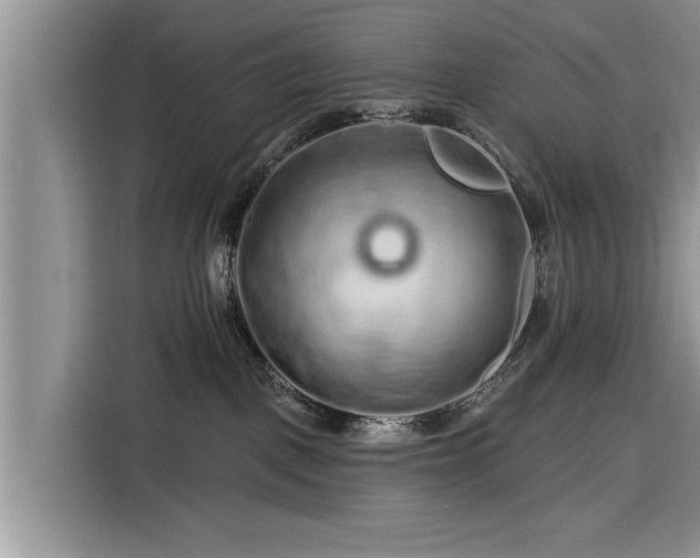 X0000116280093200912071159