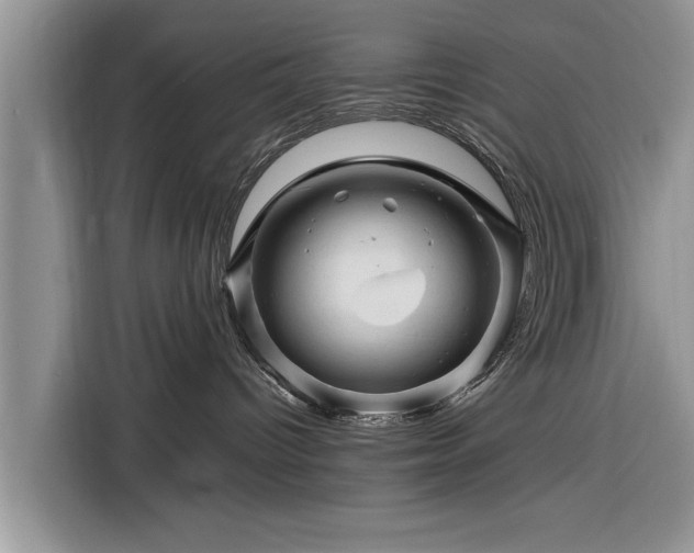 X0000116280096200912071159