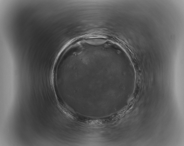 X0000116280100200912071158