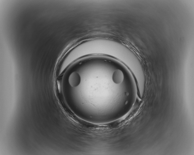 X0000116280101200912071158