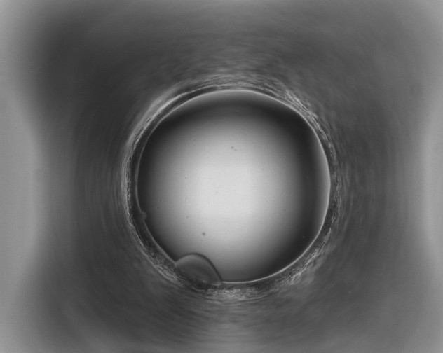 X0000116280103200912071158