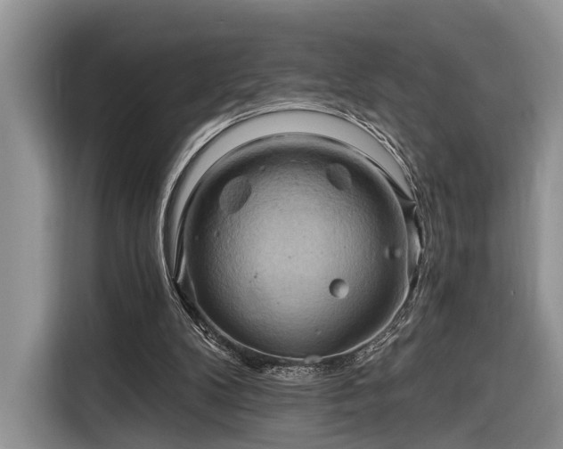 X0000116280104200912071158