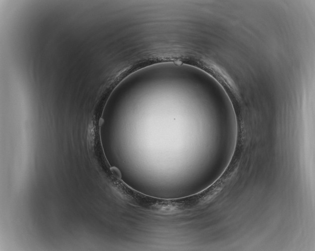 X0000116280113200912071158