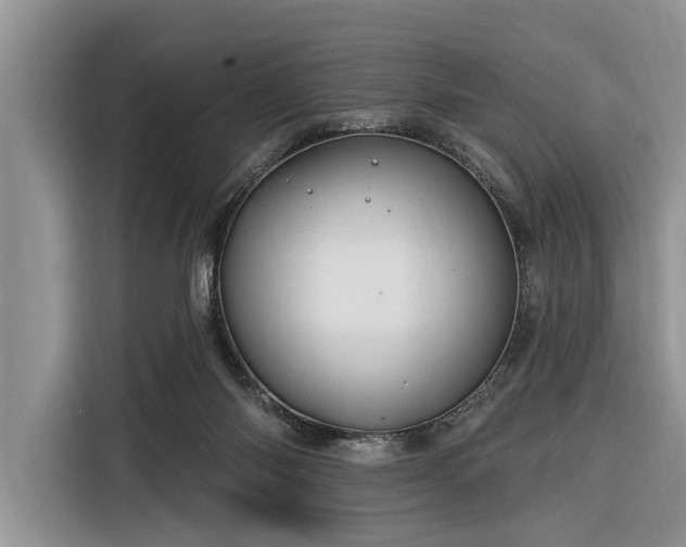 X0000116280118200912071158
