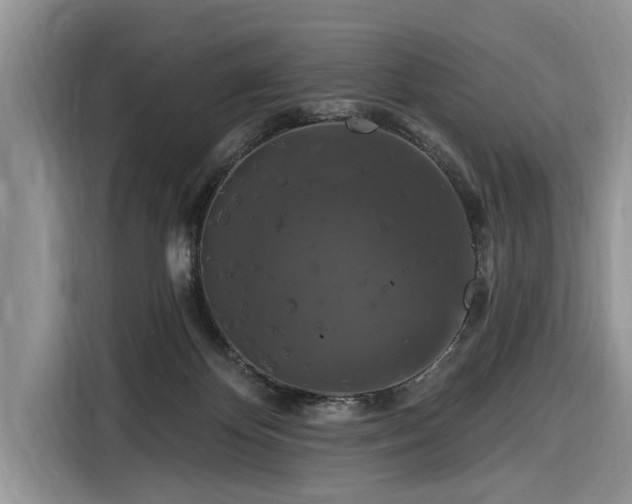 X0000116280124200912071158