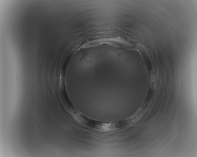 X0000116280130200912071158