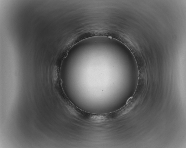 X0000116280133200912071158