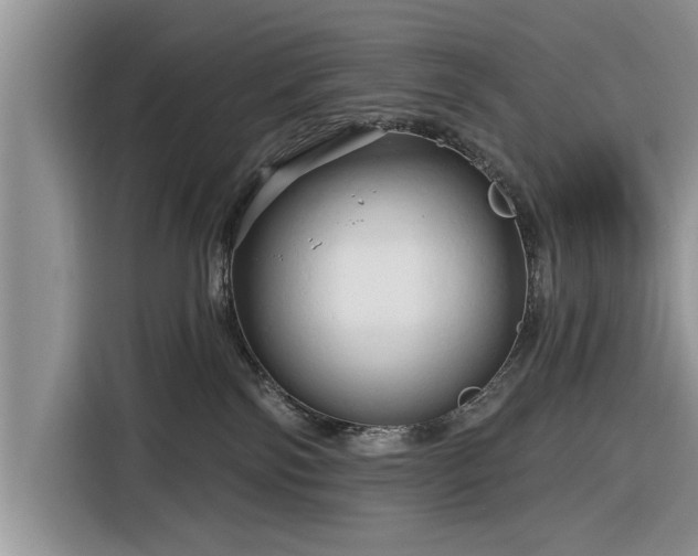 X0000116280138200912071158