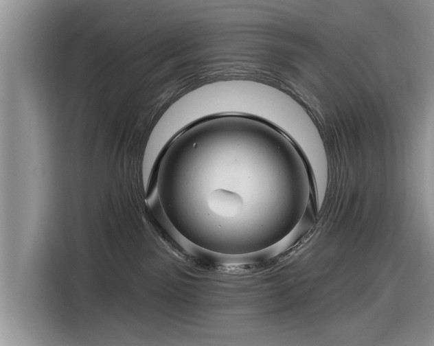 X0000116280141200912071158