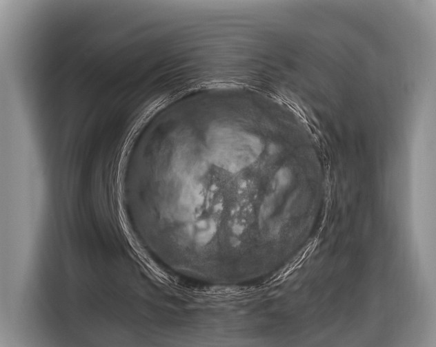 X0000116280145200912071157