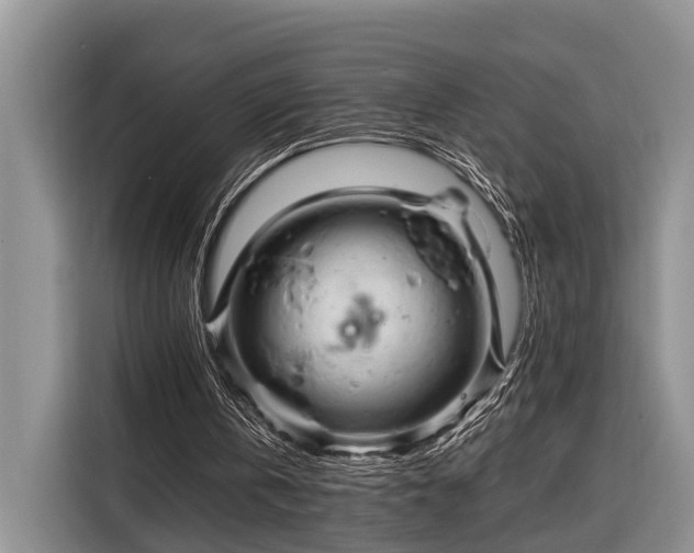 X0000116280146200912071157