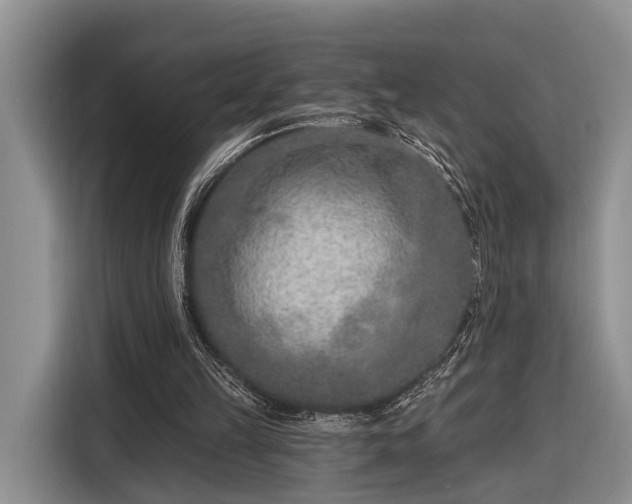 X0000116280149200912071157