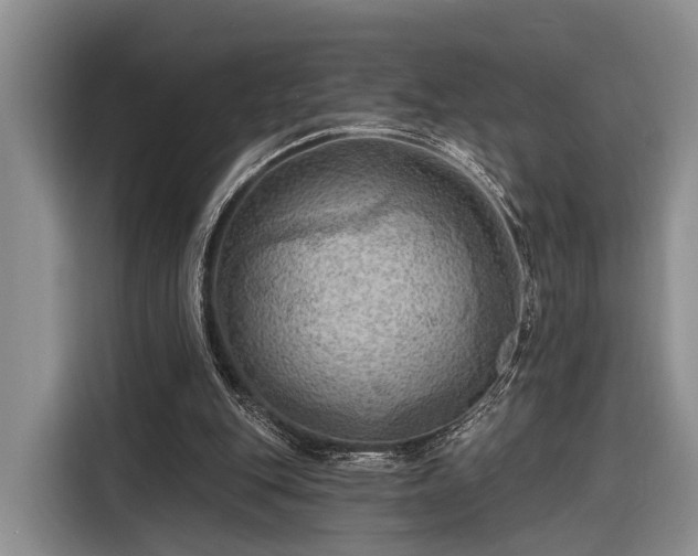 X0000116280151200912071157