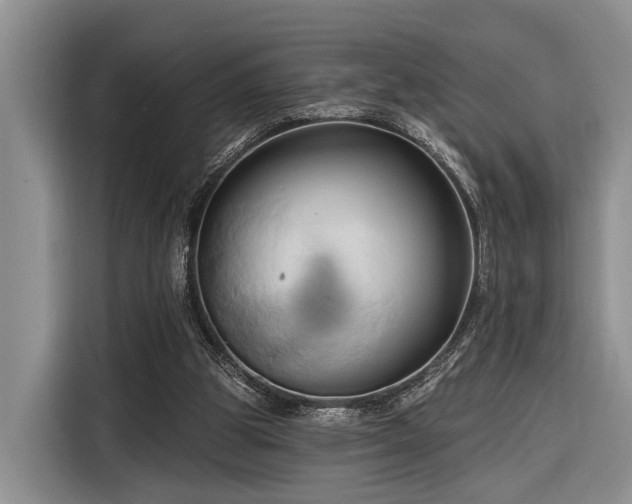 X0000116280153200912071157