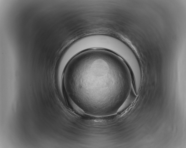 X0000116280154200912071157