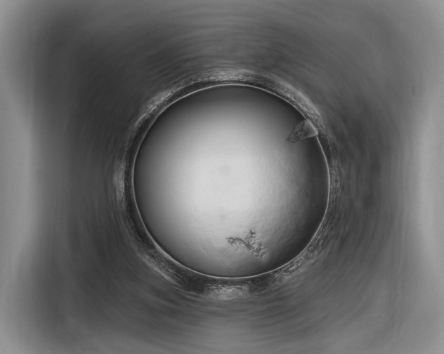 X0000116280155200912071157