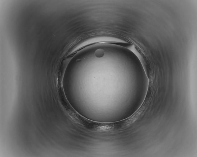 X0000116280158200912071157