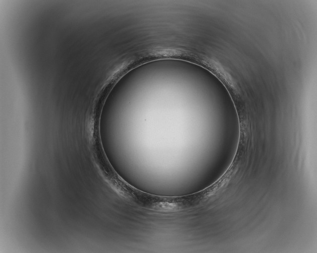 X0000116280159200912071157
