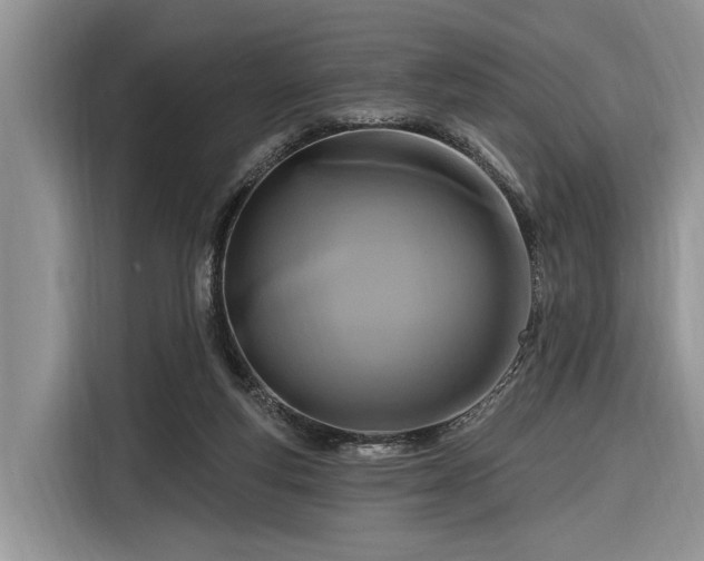 X0000116280163200912071157