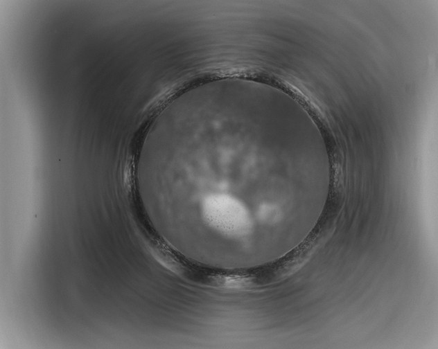 X0000116280165200912071157