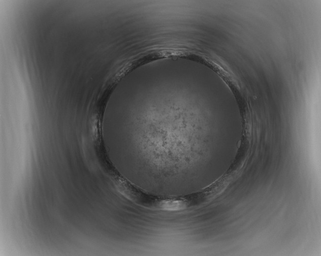 X0000116280169200912071157