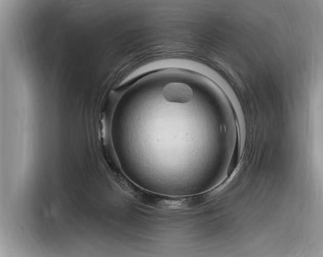 X0000116280170200912071157