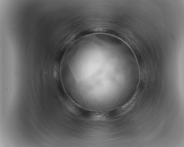 X0000116280175200912071157