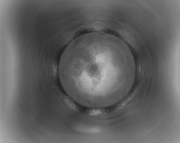 X0000116280177200912071157