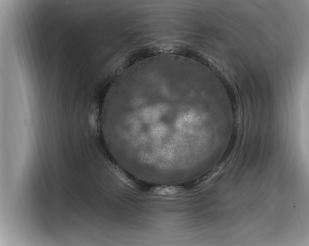 X0000116280181200912071157