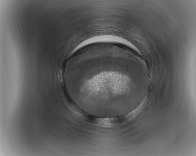 X0000116280182200912071157