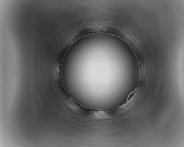 X0000116280183200912071157