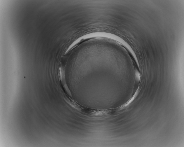 X0000116280186200912071157