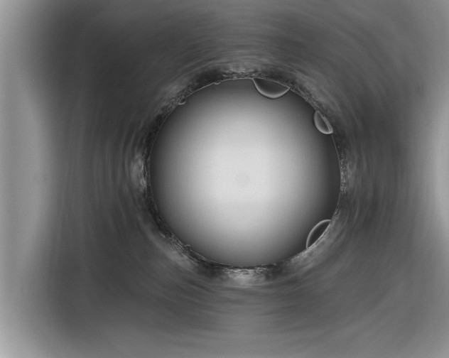 X0000116280187200912071157