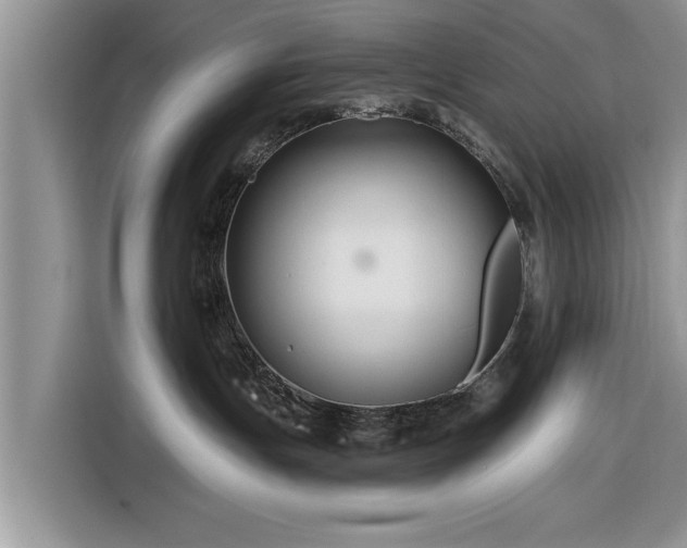 X0000116280191200912071157