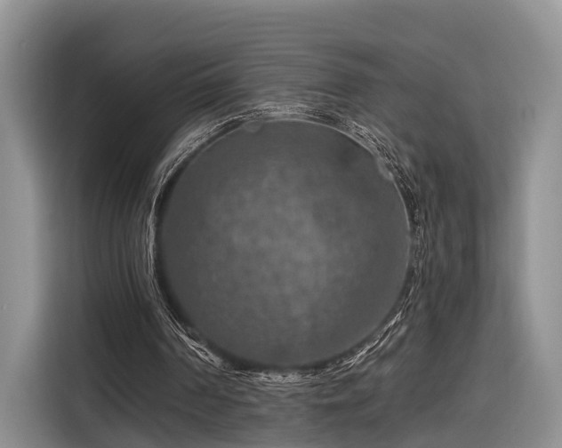 X0000116280194200912071157