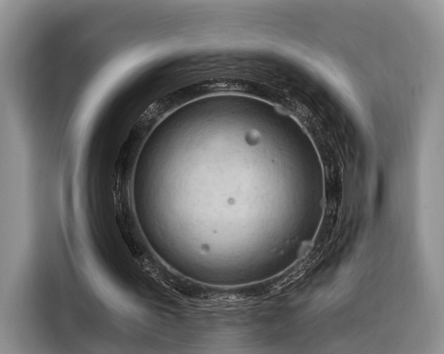 X0000116280195200912071157