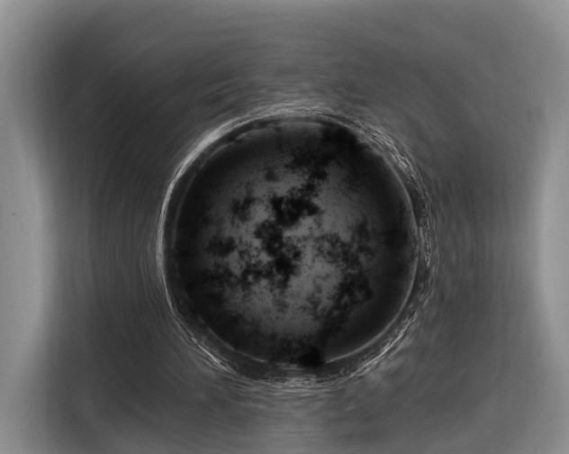 X0000116280196200912071157