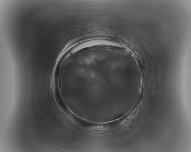 X0000116280198200912071157